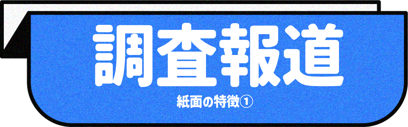調査報道 紙面の特徴①